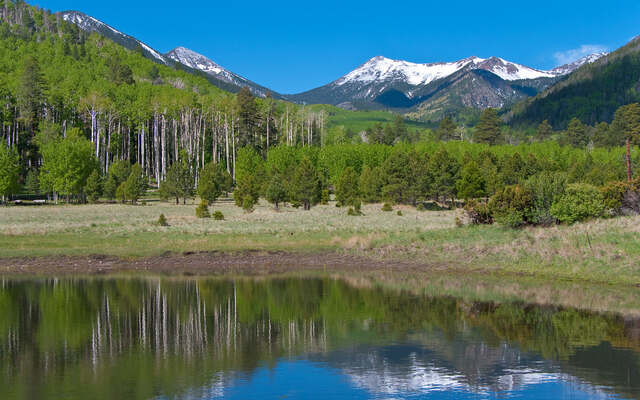 A mountain lake on a clear morning